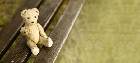Website banner of a toy bear giving his pawの写真素材