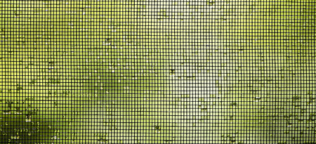 Website banner of a mosquito wire screen on the window with water drops
