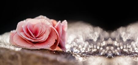 Website banner of Valentine's Day greeting card pink flowerの写真素材