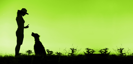 Website banner of dog training silhouette in greenの写真素材
