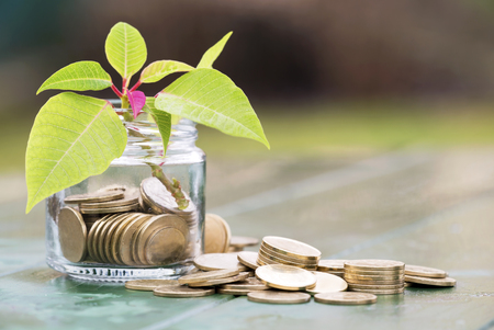 Economy, saving concept  - coins stacks -  making money with green leaf and jarの写真素材