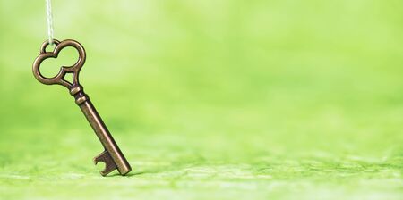 Golden key on green marbled background, possibility, success concept, web banner with copy spaceの写真素材