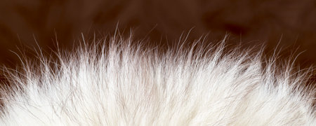 White animal fur background, web banner with copy space