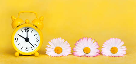Daylight savings time banner, daisy flowers and clock watch on yellow background. Spring forward, springtime or summer concept.の写真素材