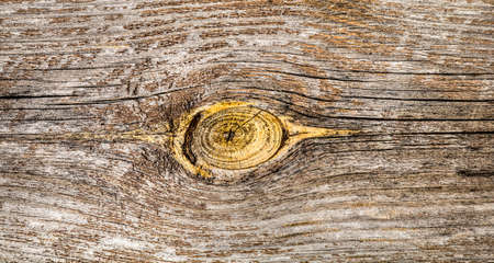 Rustic wood texture, wooden background with copy spaceの写真素材