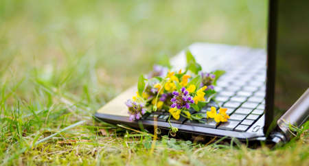 Laptop and flowers in the grass, home office concept