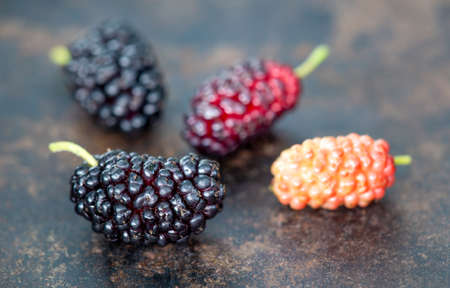 Mulberry fruits, healthy food ingredients background