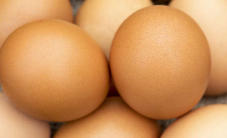 Organic brown chicken eggs close-up background, healthy breakfast raw food