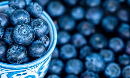 Blueberries healthy fresh juicy fruits close-up banner, backgroundの写真素材
