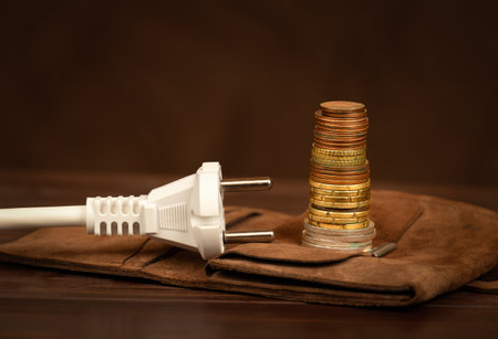 Electrical plug and money coins on a wallet. Energy savings, efficiency, save power or energy crisis background.の写真素材