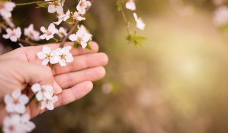 A hand holding flowers in spring. Springtime, summer or mothers day background.の写真素材