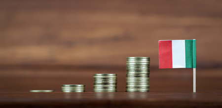 Growing coins and Italian flag. Economy or budget concept. Finance, financial background or web banner.の写真素材