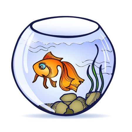 goldfish swimming in round aquarium with seaweedのイラスト素材