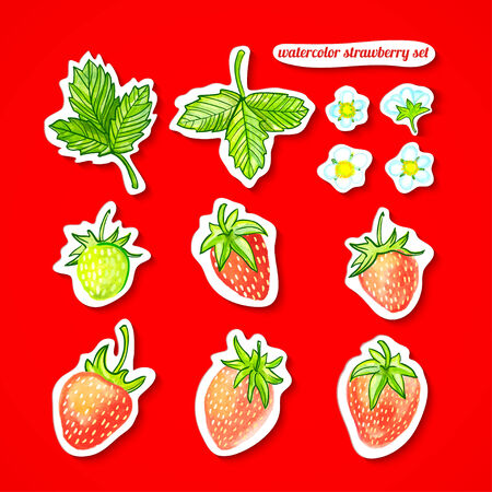 illustration watercolor set Stickers with strawberries, leaves and flowers on a red backgroundのイラスト素材