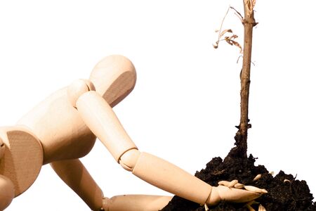 wooden man plant tree in the gardenの写真素材