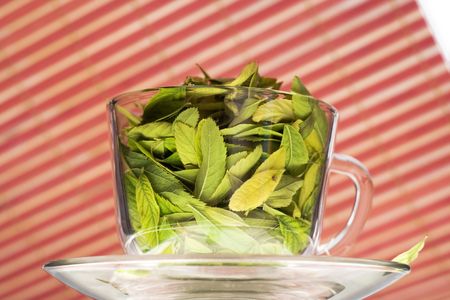 Cup on striped background 
