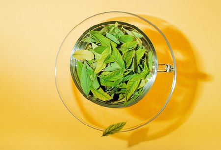 Cup with leaves. Natural Drink. Freshness.の写真素材