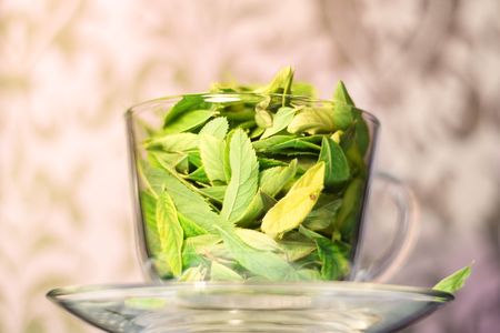 Cup full of leavesの写真素材