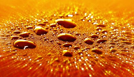 Water dropsの写真素材