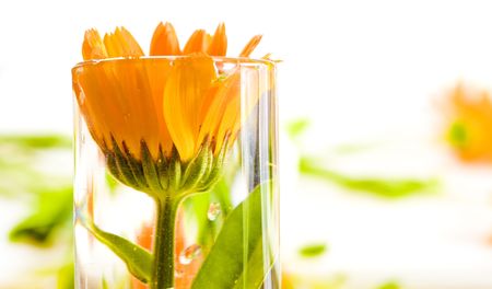 abstract flowerの写真素材