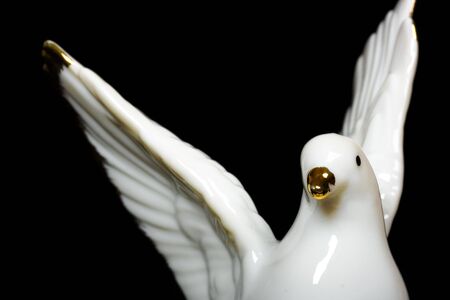 dove toyの写真素材