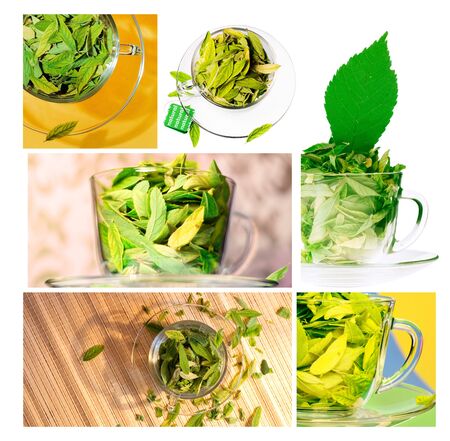 Green tea collageの写真素材