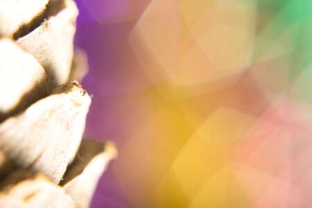 christmas decorationの写真素材