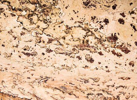 texture of the cork materialの写真素材