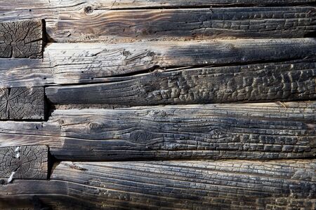  Close-up of the burnt wood backgroundの写真素材