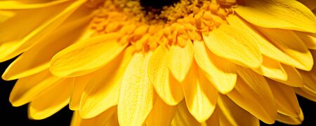 flowerの写真素材