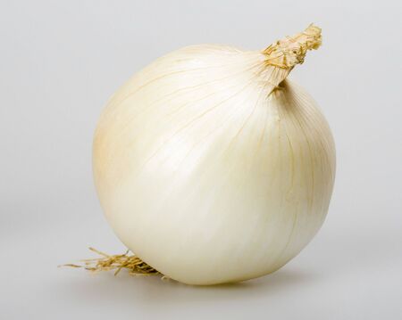 onionの写真素材