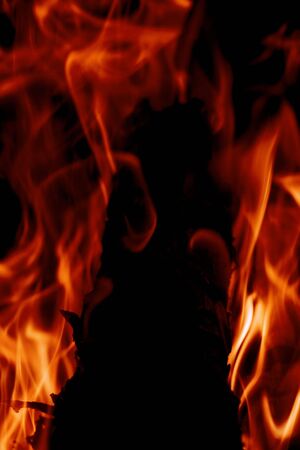 Fire isolated on a black background.