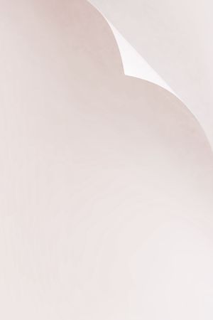 Paper page with curl, copy space for your text.の写真素材