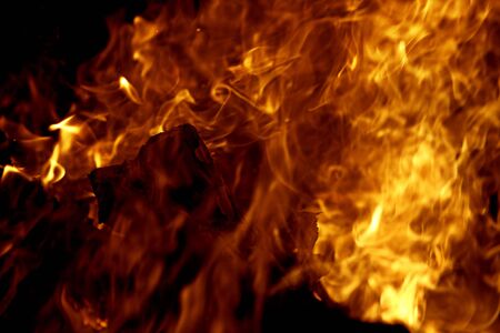 Fire isolated on a black background.