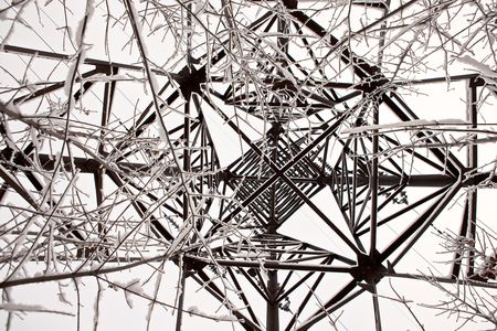 Electricity power station and tree branches. Architecture & nature detail.の写真素材