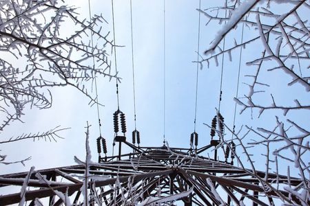 Electricity power station and tree branches. Architecture & nature detail.の写真素材