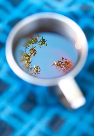 cup with leaves and sky reflectionの写真素材