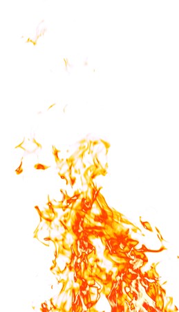 Fire on a white background.の写真素材