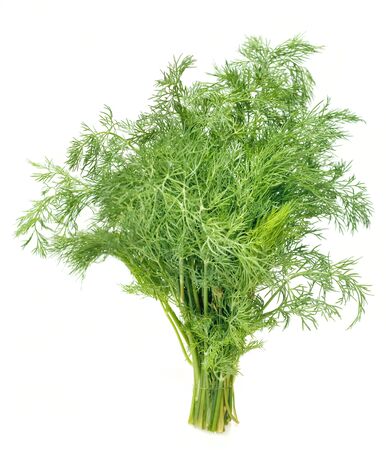 Dill Isolated On Whiteの写真素材