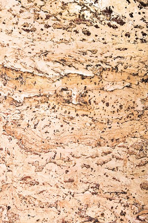 texture of the cork materialの写真素材