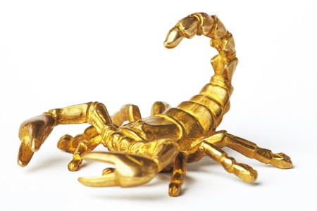 Gold scorpion isolated on white background.の写真素材