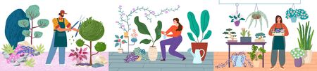 Gardening persons caring for plants vector illustration set. Man pruning bushes, women water and care for indoor plants. Gardeners and florists concept.のイラスト素材