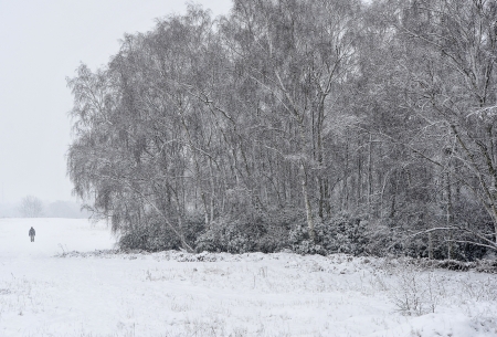Lone winter walker in snowの写真素材