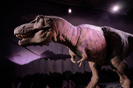 Animatronic model of a Tyrannosaurus Rex dinosaur at the Natural History Museum on October 10, 2023 in London, UKのeditorial素材