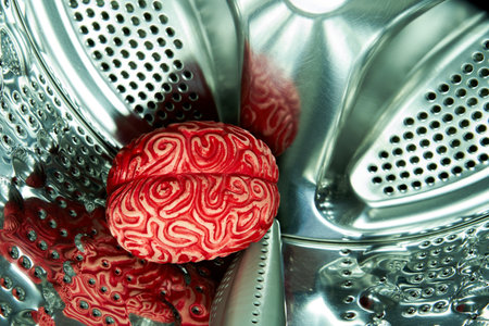 Red Rubber Brain Inside a Washing Machine, Brainwashing Concept.