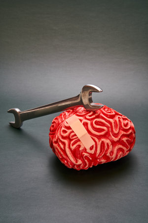 Wrench on top of a red human brain.の写真素材