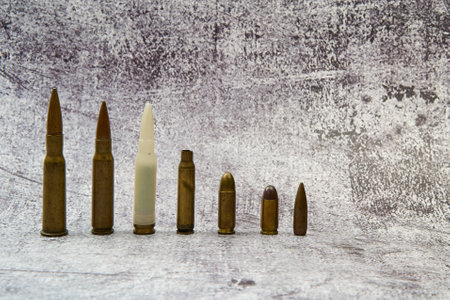 Ammunition for different weapons arranged in a row.