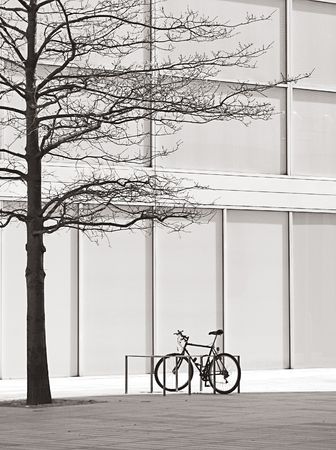 tree and bike