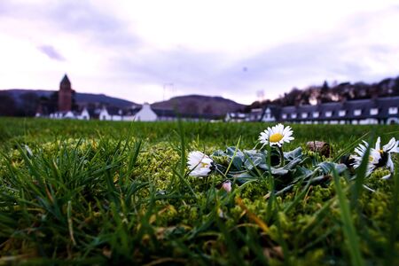 Scotland sunsets and sunrisesの写真素材