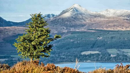 Scotland landscapesの写真素材